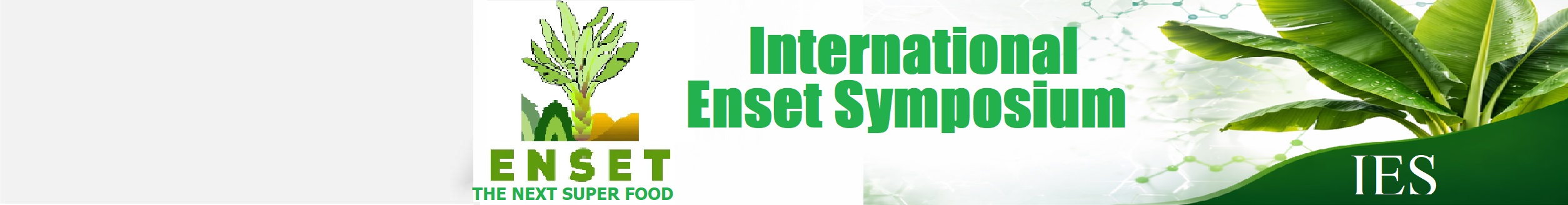 IES-banner