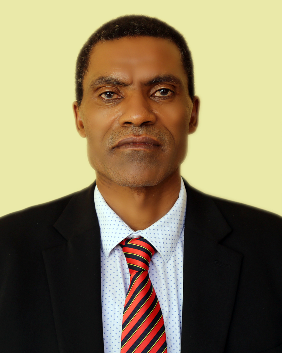 Damtew Darza Sozo (PhD, Associate Professor)