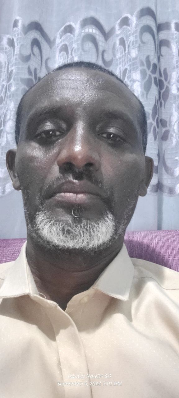 Melese Mengesha Aklilu (PhD, Assistant Professor )